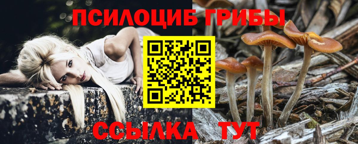Галлюциногенные грибы Psilocybe Екатеринбург