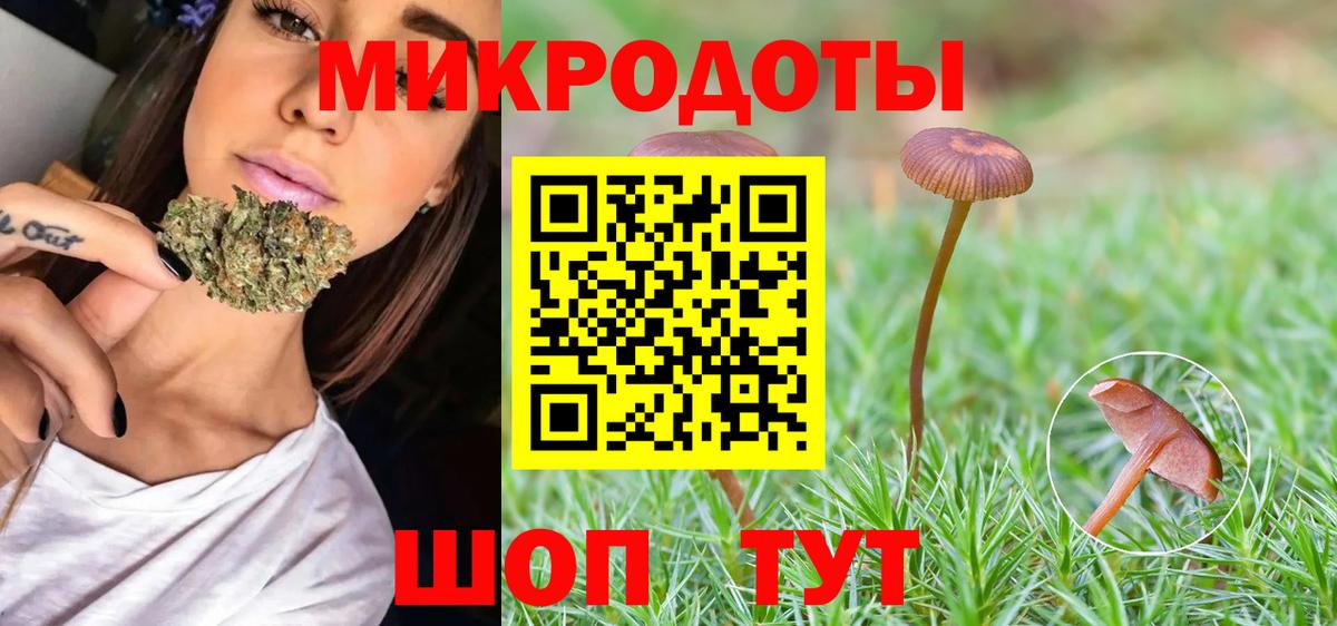 Екатеринбург  Галлюциногенные грибы Cubensis  Вход с VPN 